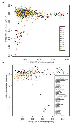 Complex Feline Disease Mapping Using a Dense Genotyping Array